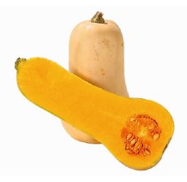 Butternut