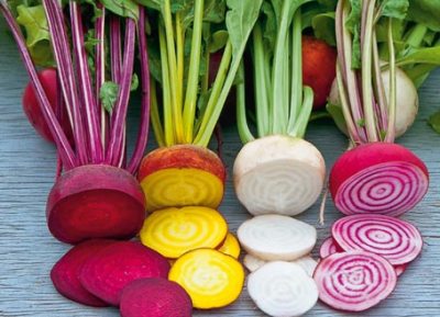 randen rote beete rote ruebe
